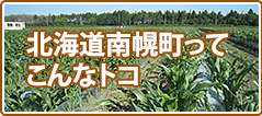 北海道南幌町ってこんなトコ