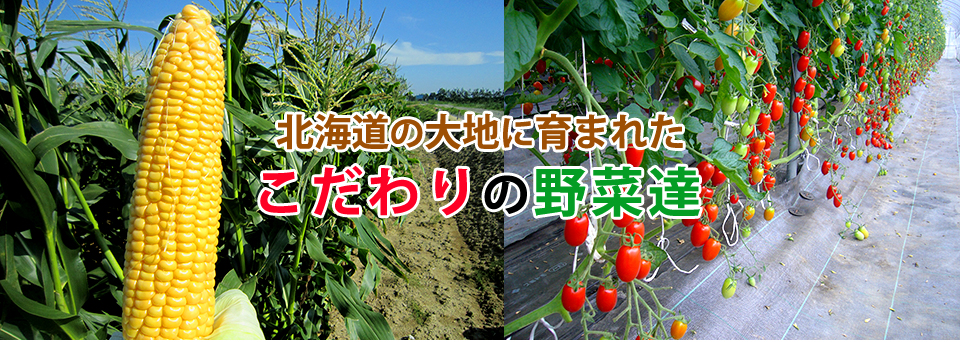 北海道の大地に育まれたこだわりの野菜達